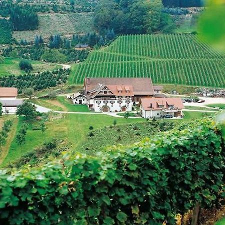 Apartmán Weingut Alfred Huber Durbach Exteriér fotografie