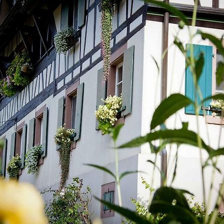 Apartmán Weingut Alfred Huber Durbach Exteriér fotografie
