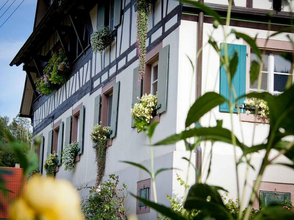 Apartmán Weingut Alfred Huber Durbach Exteriér fotografie