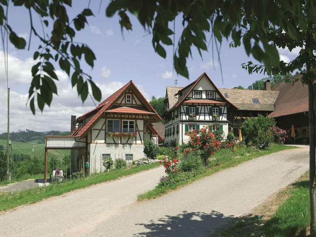 Apartmán Weingut Alfred Huber Durbach Exteriér fotografie