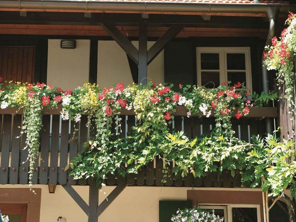 Apartmán Weingut Alfred Huber Durbach Exteriér fotografie