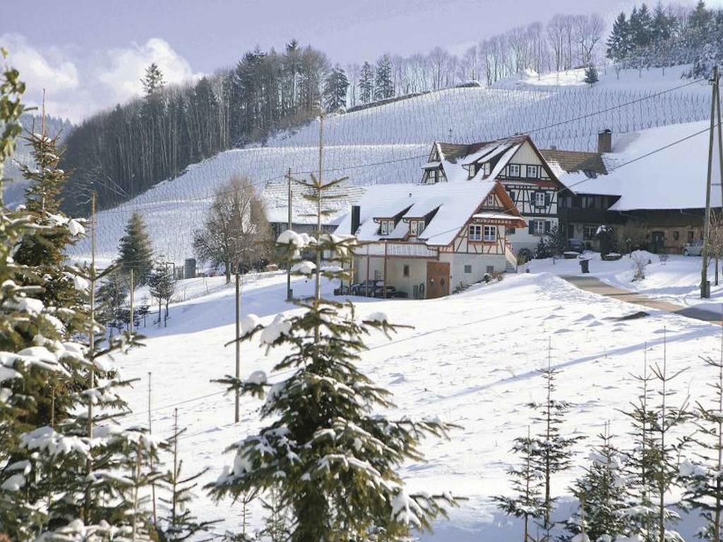 Apartmán Weingut Alfred Huber Durbach Exteriér fotografie